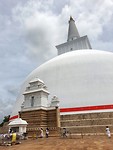 Ruwanweliseya stoepa