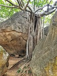 Vessagiriya