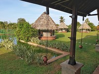 Biologische boerderij en Ayurveda