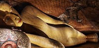 Gouden tempel van Dambulla