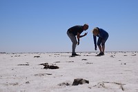 Lake Eyre