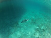 FILE0039