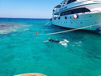 IMG-20220918-WA0061