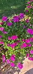 IMG-20220919-WA0004