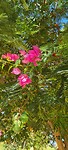 IMG-20220919-WA0003