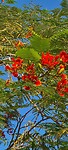 IMG-20220919-WA0002