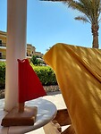 IMG-20220922-WA0016