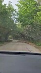VID-20240528-WA0058