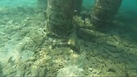 Onder waterfilmpje