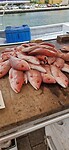 IMG-20240606-WA0018