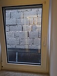 1000067491