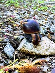 IMG-20190428-WA0002