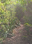 Hike route
