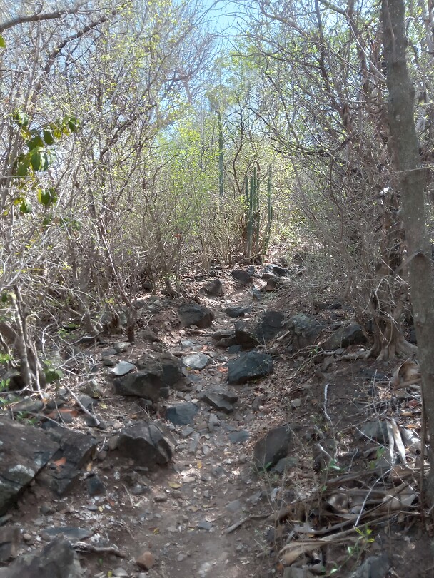 Hike route