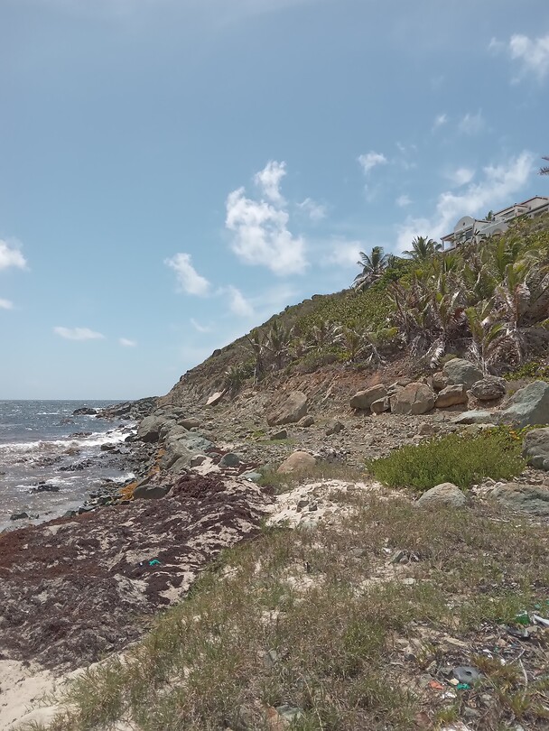 Guana beach