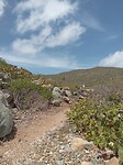 Guana beach