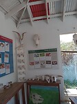 Naturalis museum