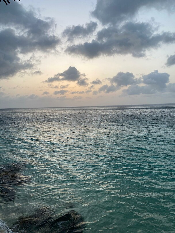 🌊🌊