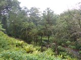 Botanic Gardens