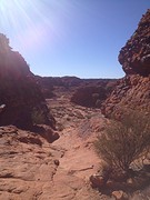 Kings canyon
