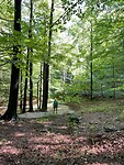 IMG_5151