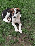 20220902_155557_resized