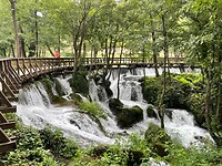 IMG_5226