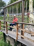 IMG_5231
