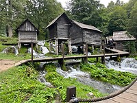 IMG_5235