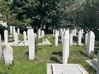 IMG_5260