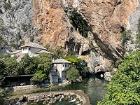 IMG_5301