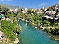 IMG_5318