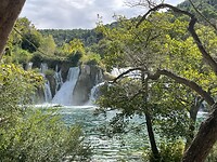 IMG_5456