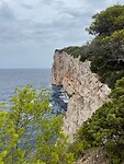 IMG_5480