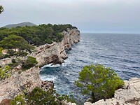 IMG_5482