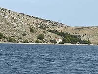 IMG_5503