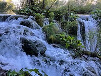 IMG_5534