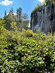IMG_5550