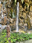 IMG_5570