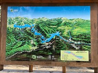IMG_5571
