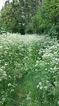 IMG-20230516-WA0038