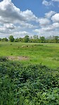 IMG-20230516-WA0036