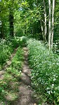 IMG-20230516-WA0034