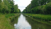 IMG_20230517_131401_7