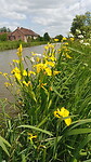 IMG_20230516_132304_6