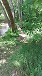 IMG-20230519-WA0007