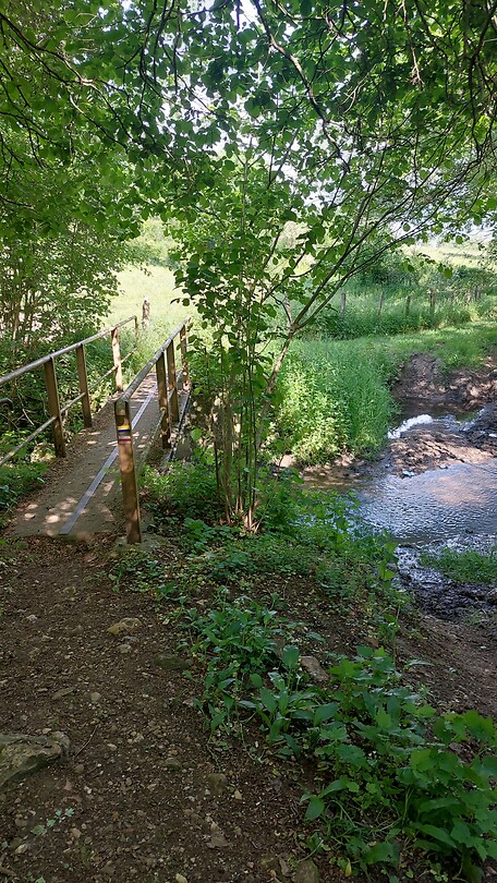 IMG-20230520-WA0000