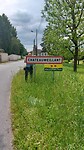 IMG-20230520-WA0003