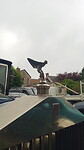 IMG-20230523-WA0004