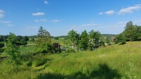 IMG-20230524-WA0011